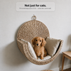 Elva™ | Elevated Pet Den